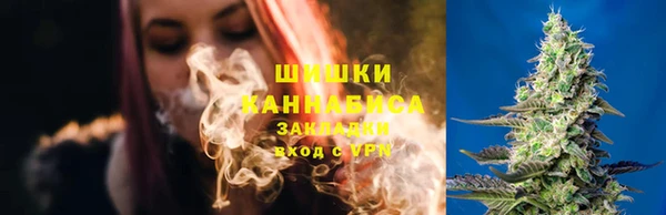 ГАЛЛЮЦИНОГЕННЫЕ ГРИБЫ Пестово
