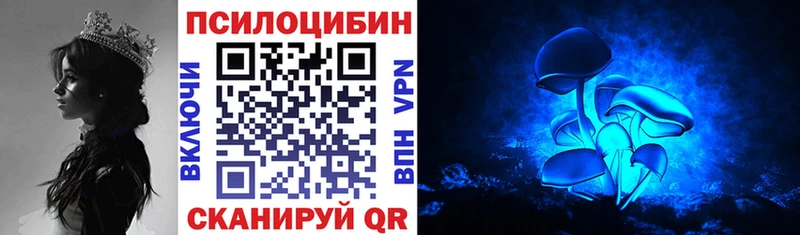 Галлюциногенные грибы мицелий  Салаир 
